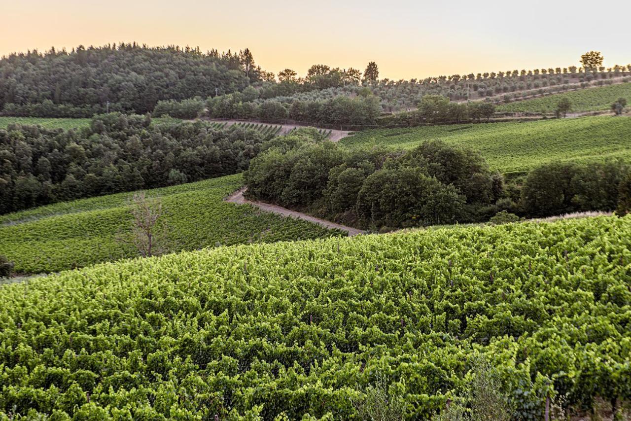 Agriturismo Concadoro Villa Castellina in Chianti Eksteriør bilde