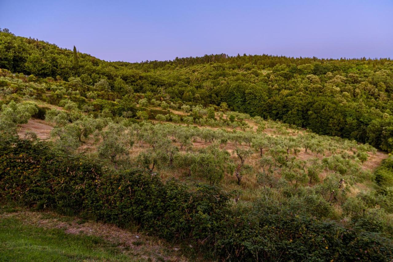 Agriturismo Concadoro Villa Castellina in Chianti Eksteriør bilde