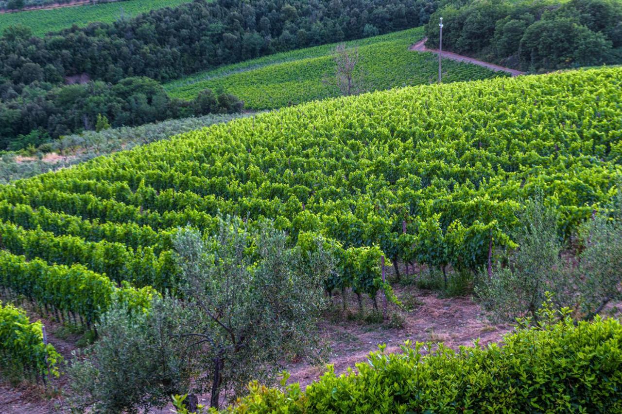 Agriturismo Concadoro Villa Castellina in Chianti Eksteriør bilde